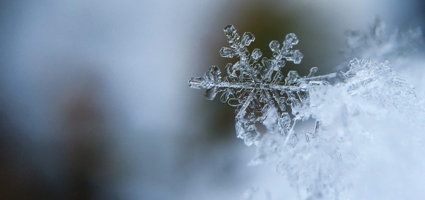 keeps pipes from freezing