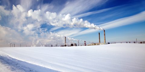 prepare your plant for winter