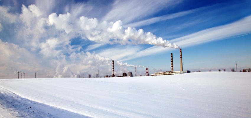 prepare your plant for winter