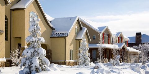 what are the signs of a cold winter