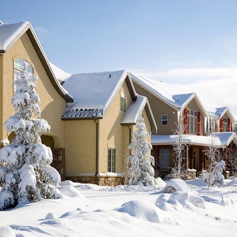 what are the signs of a cold winter