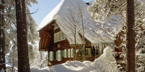 freeze protection of the home