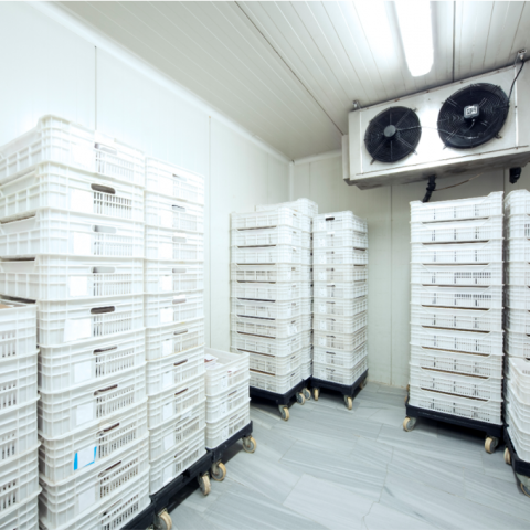 frost heave solutions