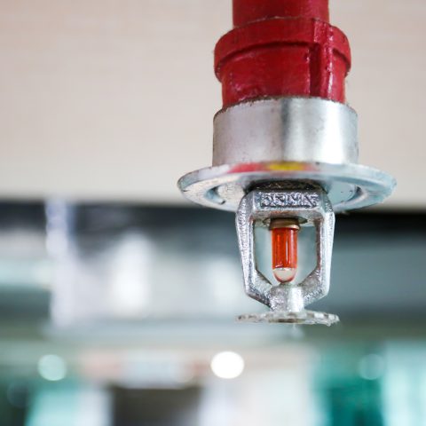 Fire sprinkler and red pipe.
