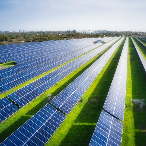 Huge solar power plant to use solar energy in a picturesque green field