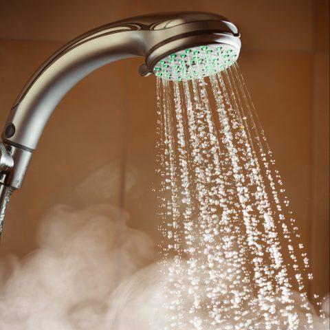 Efficiently Delivering Hot Water: Achieve Decarbonization/Electrification, Submetering, and Sustainability Goals